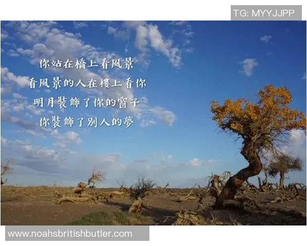 刘铮的奋斗历程与成长故事探寻他在篮球场上的传奇与人生哲学